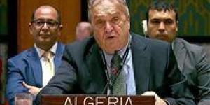 مندوب الجزائر أمام مجلس الأمن: حماية الاحتلال الاسرائيلي شجعته على ارتكاب الجرائم