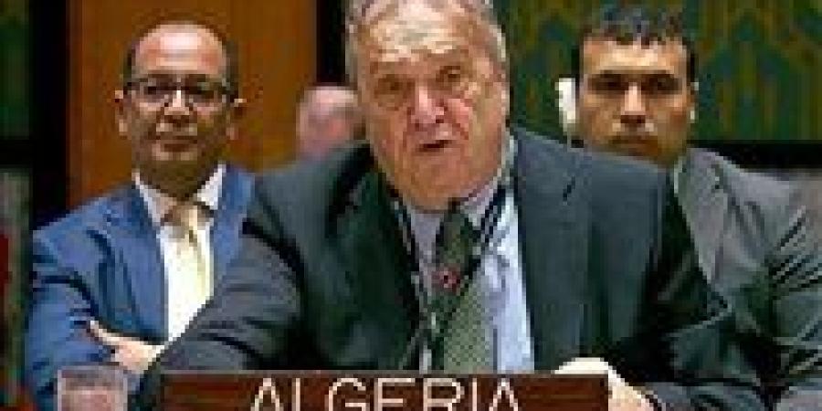 مندوب الجزائر أمام مجلس الأمن: حماية الاحتلال الاسرائيلي شجعته على ارتكاب الجرائم