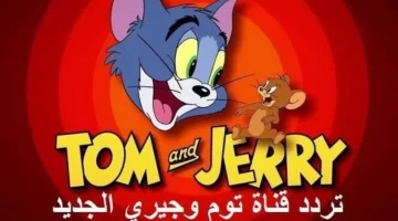 استقبل الحديث تردد قناة توم وجيري الجديد 2023|| استمتع بمغامرات القط والفأر Tom& Jerry